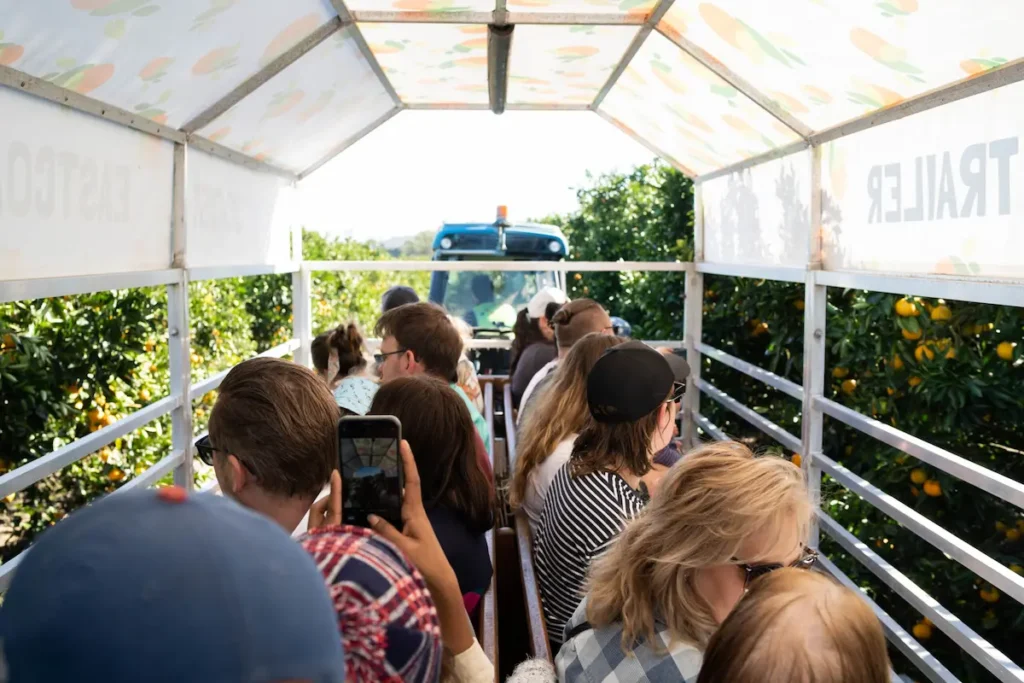 People Visiting Eastcoast Farm